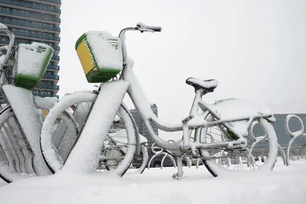 自行车停放在街上 成排的自行车被雪覆盖着 — 图库照片