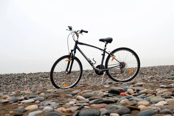 Bicicleta Playa Rocosa Vacía —  Fotos de Stock