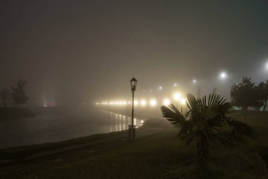 Sisli parkta parlak fenerlerle dolu bir sıra. Yumuşak odak. 