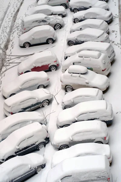 大雪中 一排被雪覆盖的停放的汽车 — 图库照片