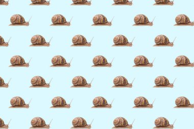 Bahçe kahverengi salyangozlu kusursuz duvar kağıdı deseni.