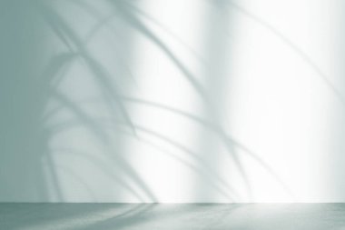 Tropik bitki gölgeleri olan zümrüt yeşili soyut arka plan. Asgari yaratıcı konsept. Boşluğu kopyala.