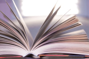 Open book close up pages. Study concept.