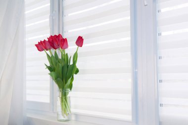 Pencere silindiri sistemi gece gündüz, kumaş jaluzileri.