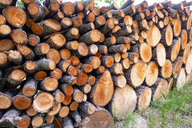 Stock of firewood for heating the house in the forest.