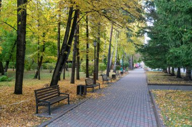 Sonbahar parkında bankları olan yaya geçidi.