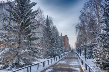 Fenerli güzel bir kış yaya geçidi. HDR