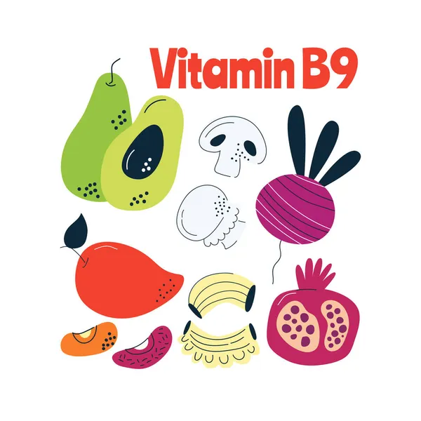 Las principales fuentes alimentarias de vitamina B9. Concepto de comida saludable. — Vector de stock