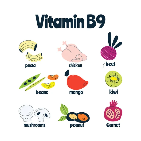 Las principales fuentes alimentarias de vitamina B9. Concepto de comida saludable. — Vector de stock