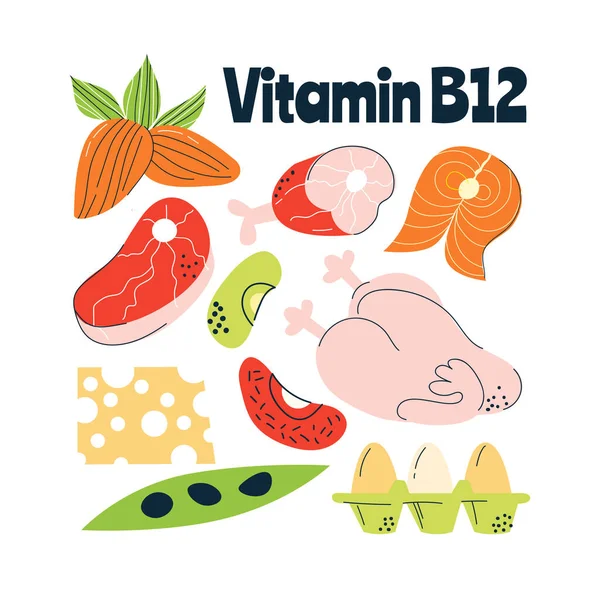 Principales fuentes alimentarias de vitamina B12 Concepto de alimentación saludable. — Vector de stock