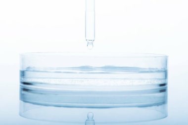 Tıp konsepti. Parlak laboratuvar masasındaki petri kabı ve üzerine şeffaf sıvı damlatan pipet. Analiz, kimyasal deney ekipmanları. Mavi gradyan harita filtresi. Sığ alan derinliği