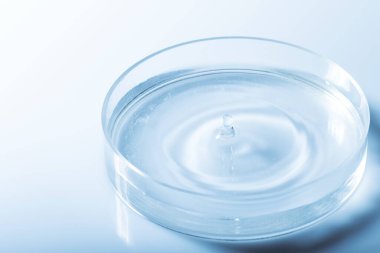 Tıp konsepti. Şeffaf sıvı ile petri kabı ve kopyalama alanı ile bırakın. Analiz, kimyasal deney ekipmanları. Mavi gradyan harita filtresi. Sığ alan derinliği