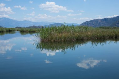 beautiful river in Dalyan