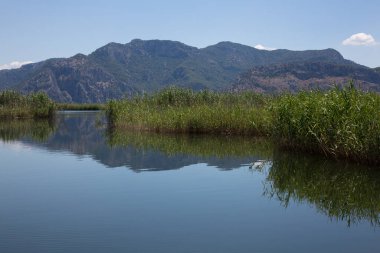 beautiful river in Dalyan