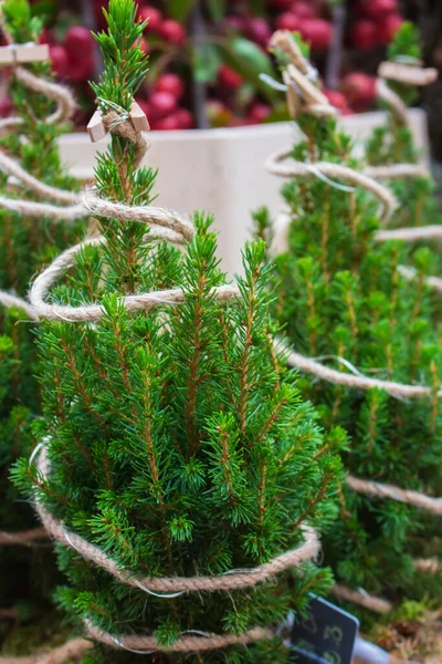 Kleine Kerstboom Kermis Kerstboom Met Decoratief Touw Koop Kerstmarkt Europa — Stockfoto