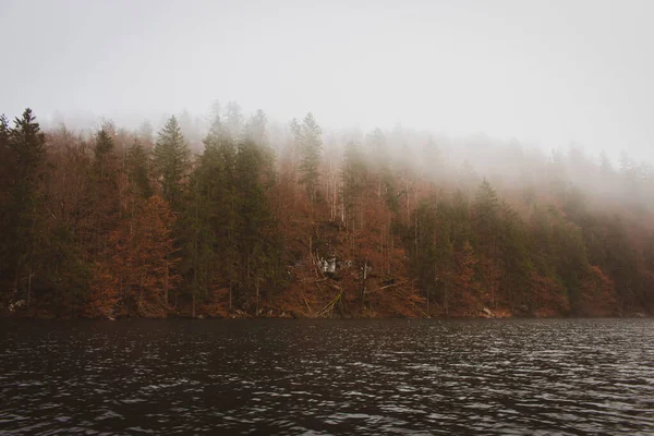 Nevoeiro Lago Kenigsee Alemanha Névoa Margem Lago Com Reflexão Florestal — Fotografia de Stock