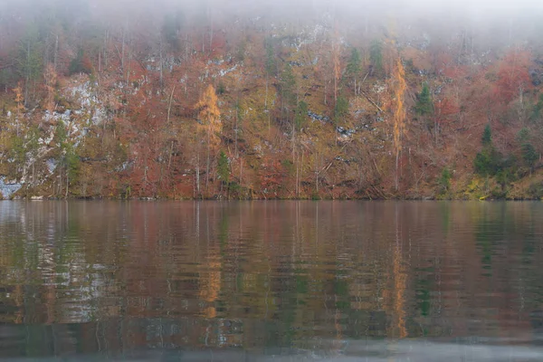 Nevoeiro Lago Kenigsee Alemanha Névoa Margem Lago Com Reflexão Florestal — Fotografia de Stock