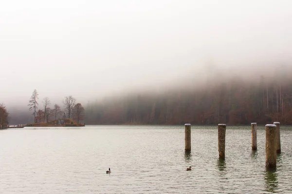 Fog Lake Kenigsee Germany Small Island Middle Lake Mist Lakeshore — Fotografia de Stock