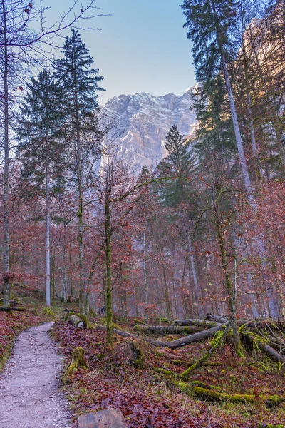 Άλπεις Βουνά Στο Δάσος Berchtesgaden Γραφικό Ορεινό Τοπίο Φθινοπωρινά Δέντρα — Φωτογραφία Αρχείου