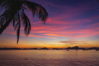 Resimli tropikal gün batımı. Adanın üstünde dramatik bir akşam gökyüzü. Palmiye ağacı ve adaların siluetleri. Akşam karanlığında egzotik deniz manzarası. Gece karanlığında El Nido gölü. Palawan adasında harika bir akşam gökyüzü. Tropik tatiller.