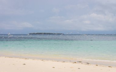 Tropikal sahilde beyaz ve siyah kuş sürüsü. Beyaz kumsaldaki martılar. Mavi suyu olan tropik deniz manzarası. İnanılmaz sahildeki deniz kuşları. Cennette tatiller. Sahilde uçan kuşlar.