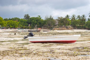 Plajda tropikal arka planda beyaz balıkçı teknesi. Deniz kenarındaki yelkenliler. Gölde gelgit var. Egzotik doğa. Kıyılarda palmiye ağaçlarıyla dolu bir gemi. Tekneli Hint Okyanusu Kıyısı.