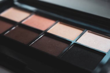 Makyaj paleti. Göz farı paleti. Dekoratif kozmetik. Kahverengi palet. Cazibeli bir yüz. Profesyonel kozmetik. Güzellik konsepti. Kadınların dünyası. Parlak gölge ayarlandı.