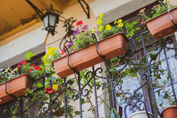 Balcony Flower Pot Street Lamp Balcony Design Building Facade Decorated — Stock Photo, Image