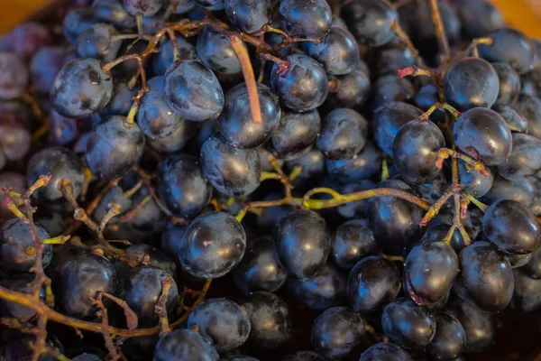 Close Ripe Grapes Vine Black Grape Vine Autumn Harvest Farming — Stock Photo, Image
