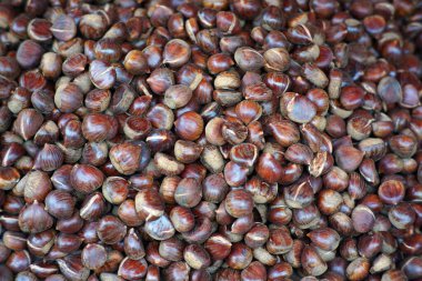 Kestaneler bir sepet ile sonbahar yaprakları