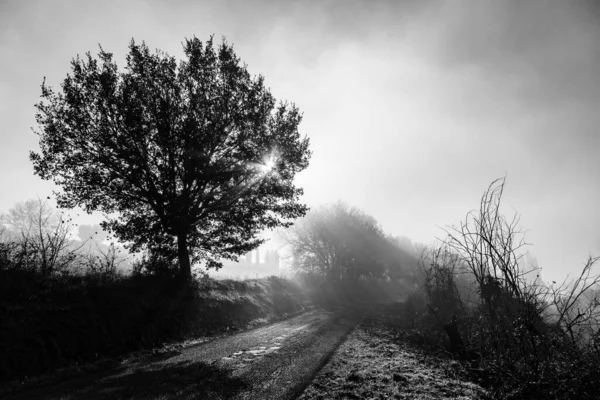 Venkovská cesta za úsvitu s mlhou a stromy. Umbria, Itálie — Stock fotografie