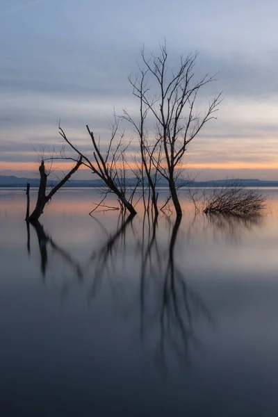 Perfekt symmetrische Baumreflexionen auf einem See in der Abenddämmerung — Stockfoto