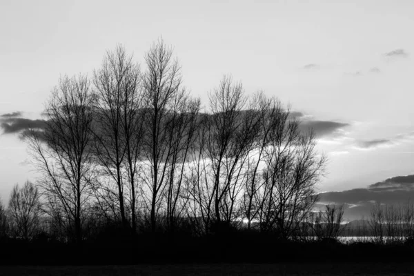 Gołe drzewa sylwetka przeciwko pięknym, zachodzącym słońcem niebie — Zdjęcie stockowe