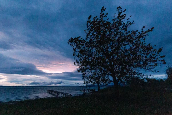 View of a pier on a lake at dusk, beneath a dramatic, moody sky, with a big tree shaken by wind in the foreground — Stockfoto