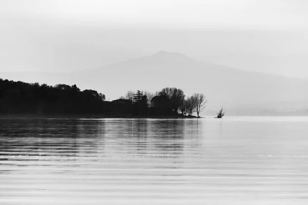Riflessioni Alberi Lago — Foto Stock