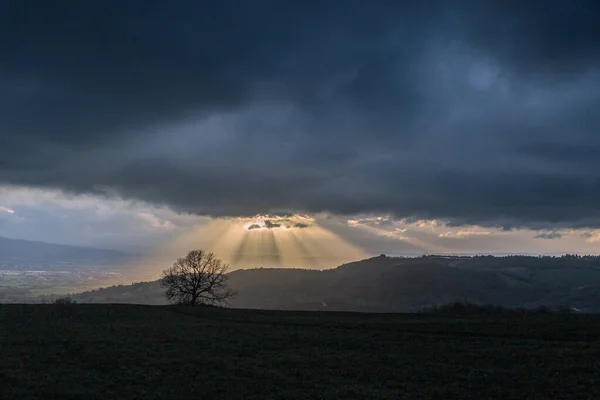 Rayons de soleil entre brouillard et arbres à l'aube — Photo