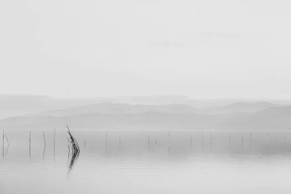 Minimalist View Fishing Net Poles Lake Perfectly Still Water Empty — Foto Stock