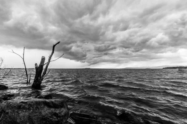 Trunks Rotto Lago Sotto Drammatico Cielo Lunatico Con Una Tempesta — Foto Stock