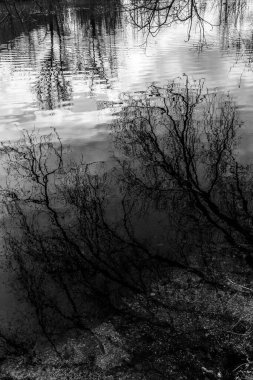 Ağaçlar, gökyüzü ve bulutlar suyu yansıtıyor.