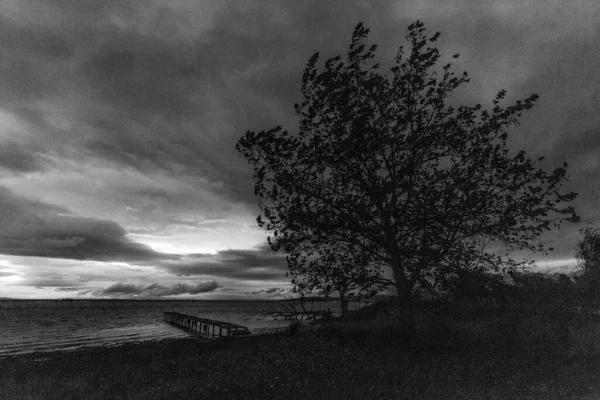 Long exposure view of a pier on a lake with still water, moving clouds and a tree in the foreground blown by the wind.