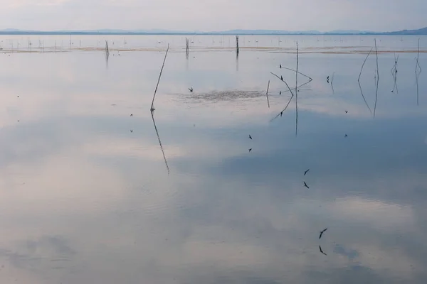 Poteaux Oiseaux Volants Parfaitement Réfléchissant Sur Surface Lac — Photo