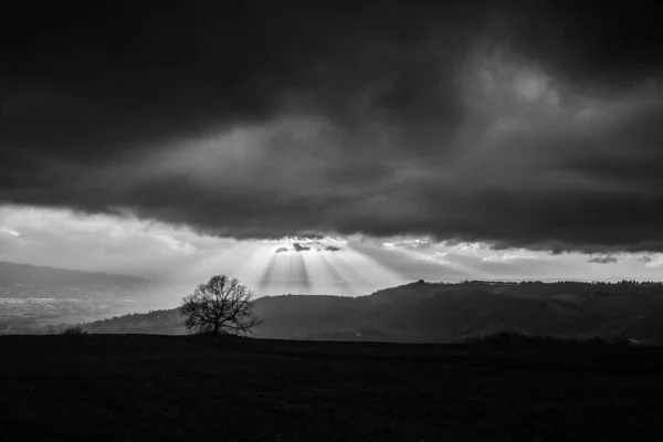 Солнечные Лучи Между Туманом Деревьями Рассвете — стоковое фото
