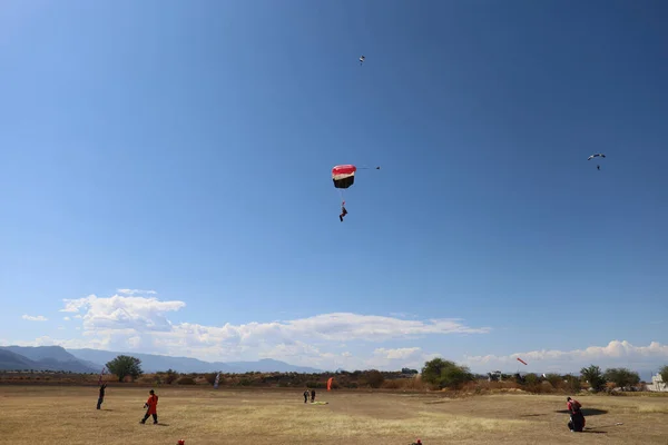 Skydiving Pára Quedista Está Aterrar Campo Imagens De Bancos De Imagens Sem Royalties