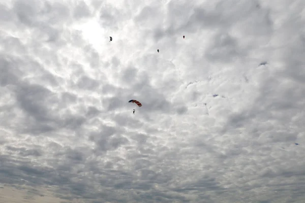 Skydiving Landning Fallskärm Den Molniga Himlen Royaltyfria Stockbilder