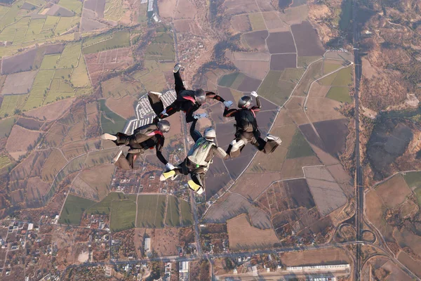集体跳伞 团队跳跃 跳伞队正在空中训练 — 图库照片