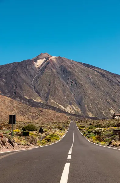 Tenerife, Canarias adalarındaki Teide Ulusal Parkı manzarası, İspanya.