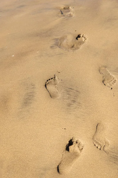Kumda ıslak ayak izlerinin görüntüsü.