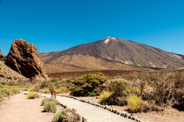 Tenerife, Canarias adalarındaki Teide Ulusal Parkı manzarası, İspanya.