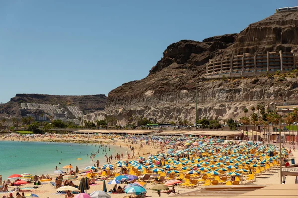 Şemsiyeler Laguna 'da, Tenerife Adası' nda, dağların yakınında..