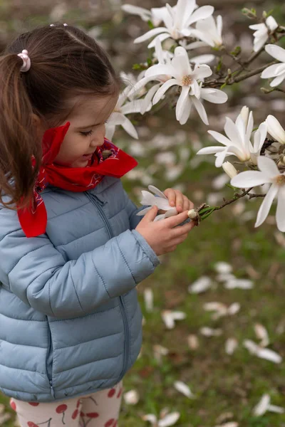 Beyaz manolya çiçeklerine dokunan şık bir kız..